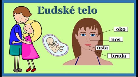 ilustrácia ženského tela s vyznačenými problémovými oblasťami (tvár, pleť, hlasivky, reprodukčný systém)