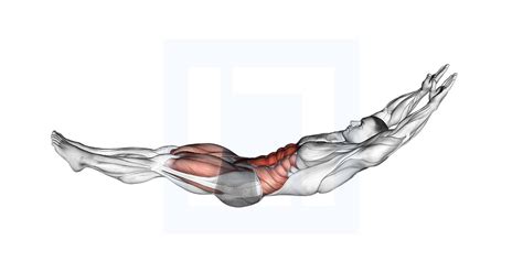 Ilustrácia správneho prevedenia cviku Hollow Hold