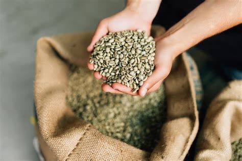 ilustrácia porovnávajúca chuť a zloženie zelenej a praženej kávy