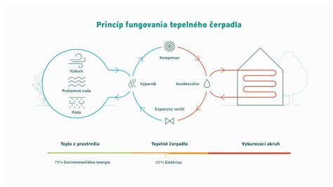 infografika zobrazujúca princíp fungovania kapsaicínu v spaľovaní tukov
