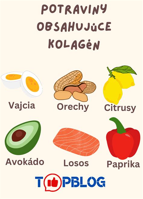 Ilustrácia znázorňujúca potraviny bohaté na kolagén a vitamíny