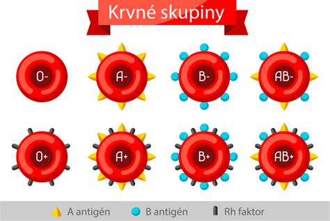Infografika zobrazujúca odporúčané a nevhodné potraviny pre jednotlivé krvné skupiny