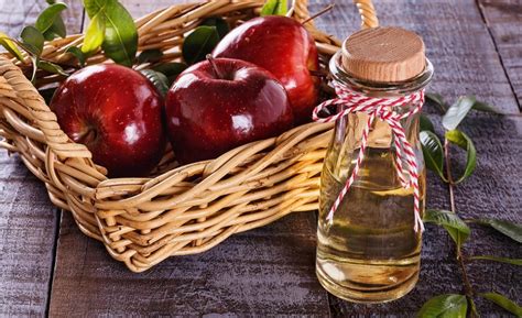 Schéma procesu fermentácie jablčnej šťavy na jablčný ocot