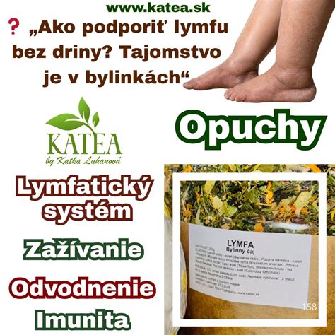 Zobrazenie rôznych byliniek používaných na odvodnenie: žihľava, púpava, praslička