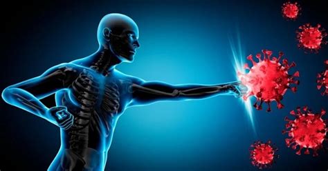 Vizualizácia cieľov tréningu: krátkodobé (redukcia váhy, svaly) a dlhodobé (flexibilita, imunita)