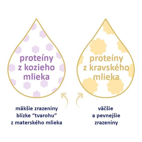 Infografika porovnávajúca nutričné hodnoty sójového a kravského mlieka
