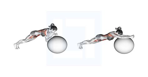 Schéma cviku Rolovanie do sedu (Roll Ups)