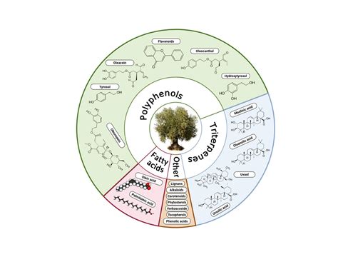 Schéma osi črevo-mozog a jej vplyvu na psychické zdravie