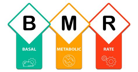 Ilustrácia znázorňujúca výpočet BMR
