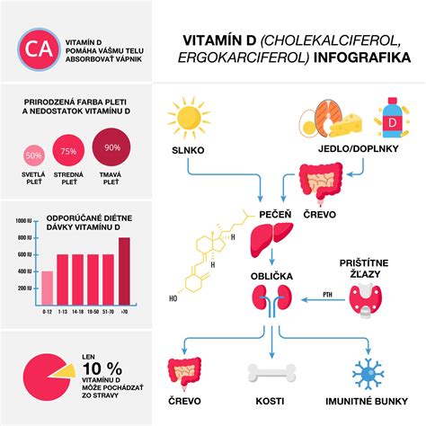 Schéma znázorňujúca vplyv vitamínu D na vstrebávanie vápnika v čreve