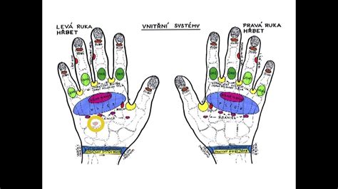 Ilustrácia znázorňujúca hlavné akupresúrne body na tele