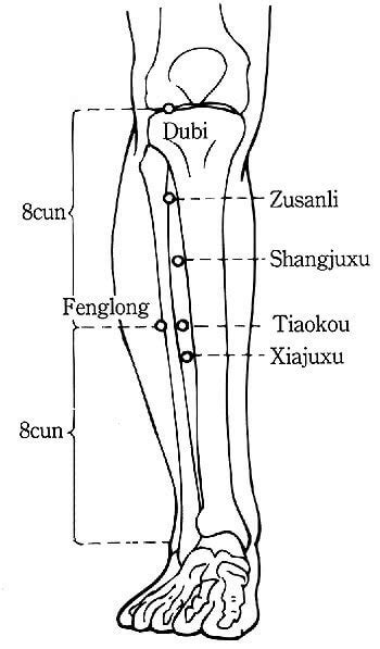 Ilustrácia znázorňujúca bod Zu San Li pod kolenom