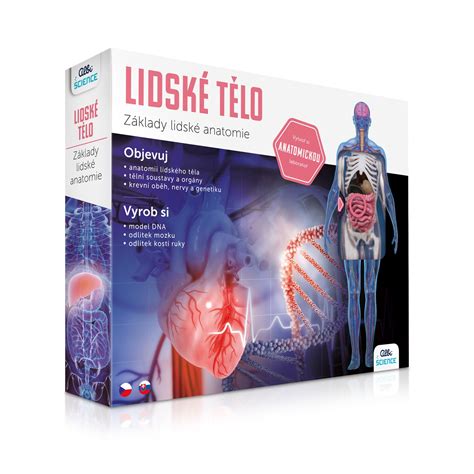 Ilustrácia Mesiacových fáz s popisom ich vplyvu na telo