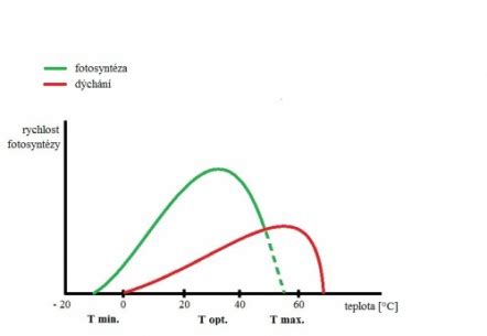 Graf závislosti rýchlosti fotosyntézy od intenzity svetla, koncentrácie CO2 a teploty