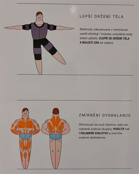 Infografika zobrazujúca svalové skupiny zapojené pri inline korčuľovaní