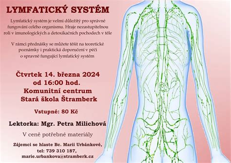 Ilustrácia ľudského tela so zameraním na lymfatický systém a oblasti s tetovaním