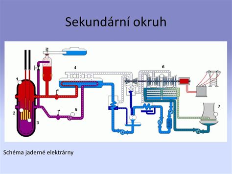 Schéma znázorňujúca neurálny okruh spájajúci kŕmenie a psychologické stavy.