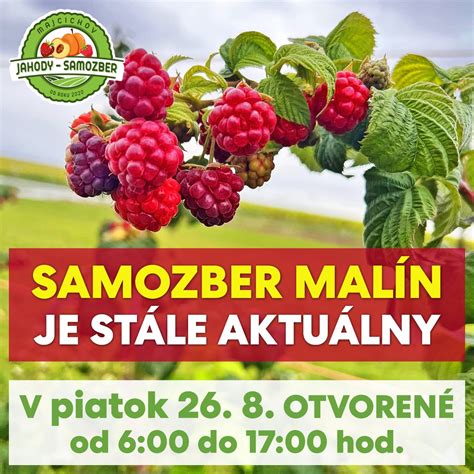 ilustrácia znázorňujúca veľké množstvo malín potrebných pre ekvivalent jednej dávky