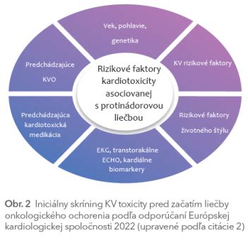 Schéma znázorňujúca vzťah obezity a zvýšeného rizika kardiovaskulárnych ochorení