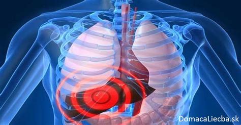 infografika znázorňujúca polohu pečene v tele a jej hlavné funkcie