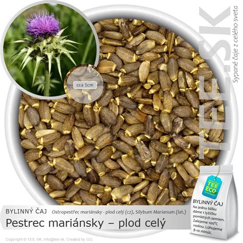 obrázok liečivých bylín ako pestrec mariánsky, kurkuma a artičoka