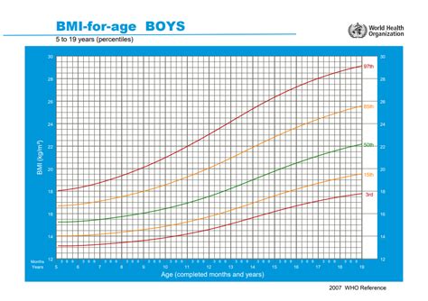 Ukážka percentilového grafu pre BMI chlapcov.