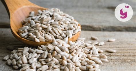 infografika zobrazujúca účinky slnečnicových semienok na zdravie