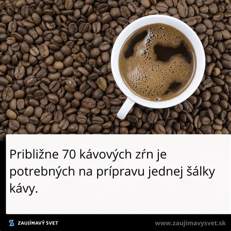 Ilustrácia kávových zŕn a šálky kávy