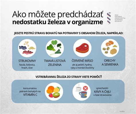 Infografika znázorňujúca kolobeh železa v tele, vrátane príjmu z potravy, transportu, ukladania do zásob a využitia v erytropoéze.
