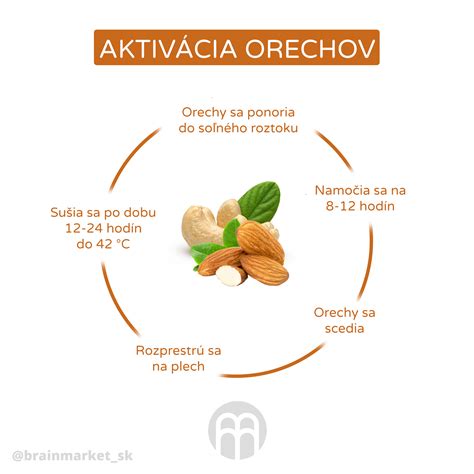 Široká škála orechov a semienok