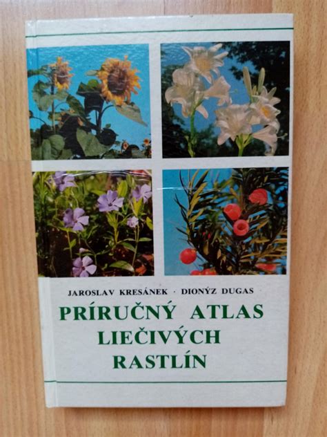 Ilustrácia rôznych liečivých rastlín rastúcich na Slovensku.