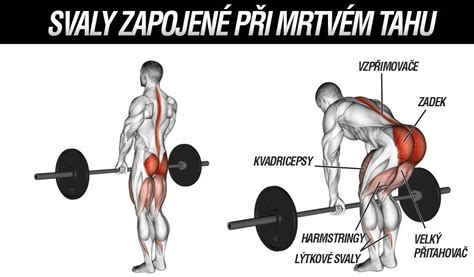 Ilustrácia správnej techniky mŕtveho ťahu