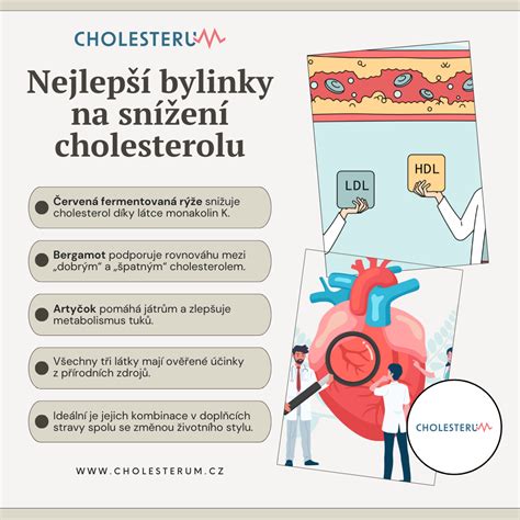infografika porovnávajúca hladiny cholesterolu u pacientiek a kontrolnej skupiny