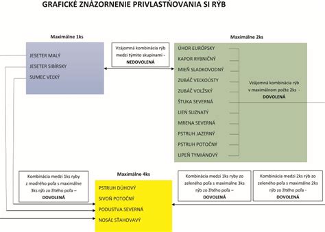 Grafické znázornenie klasifikácie BMI s vysvetlením jednotlivých kategórií a ich zdravotných rizík