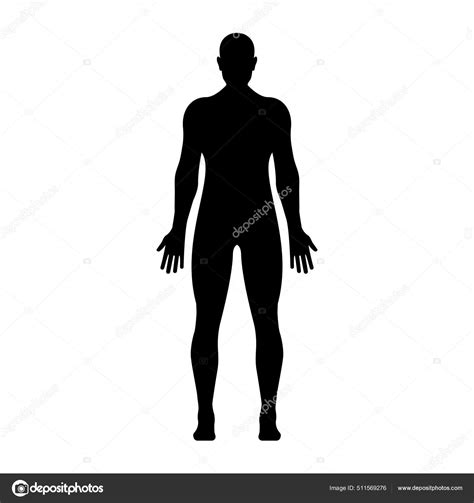 Mužská postava s vyznačenými oblasťami ukladania tuku (androginny typ)