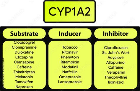 schéma metabolizmu kofeínu v pečeni s enzýmom CYP1A2