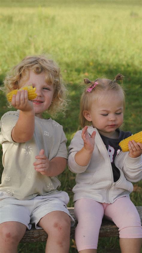 Obrázok domácich proteínových tyčiniek rôznych tvarov a príchutí.