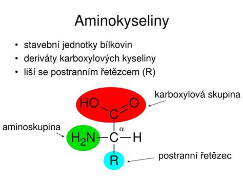 Štruktúra všeobecného vzorca α-aminokyseliny