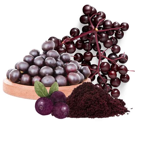 Infografika o účinkoch Acai Berry a zelenej kávy