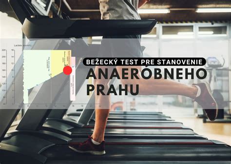 Grafické porovnanie aeróbneho a anaeróbneho metabolizmu