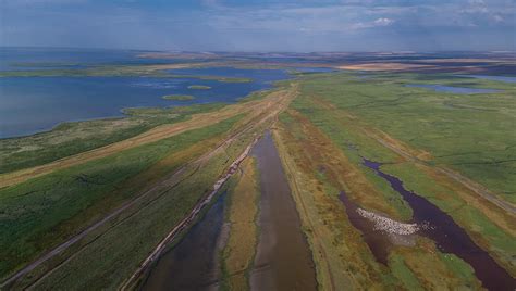 Rozľahlá Delta Dunaja s jej vodnými ramenami a bohatou vegetáciou.