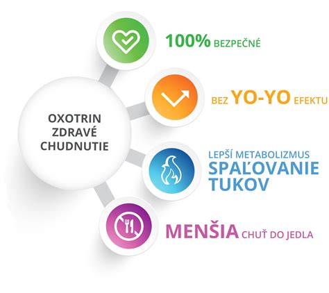 Ilustrácia znázorňujúca pôsobenie rôznych zložiek spaľovačov tukov na metabolizmus