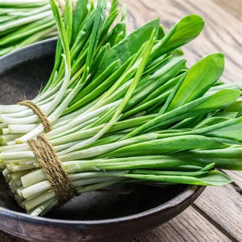 obrázok rôznych druhov rasce a ich semien