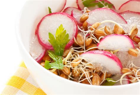 miska s klíčkami žeruchy