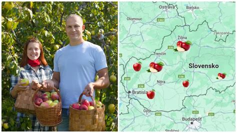 Ilustračná fotografia čerstvých jabĺk