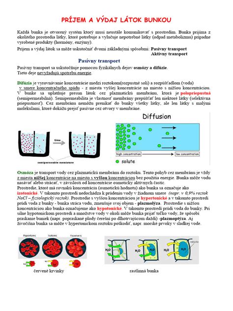 Infografika zobrazujúca energetickú bilanciu: príjem vs. výdaj kalórií