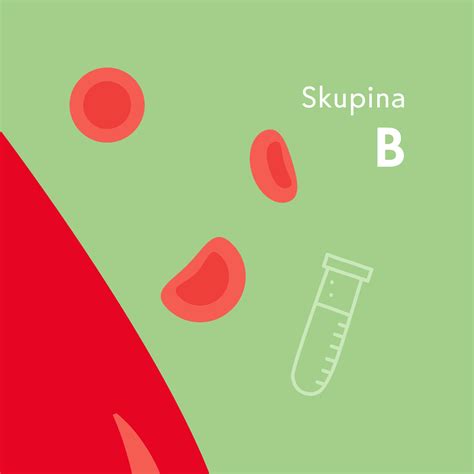 Ilustračná schéma s odporúčanými a zakázanými potravinami pre krvnú skupinu B