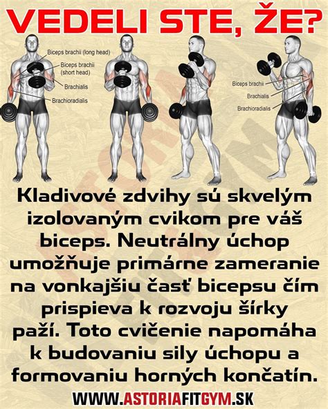 Grafické znázornenie biomechaniky zmiešaného úchopu pri mŕtvom ťahu a oblastiach náchylných na zranenie bicepsu.