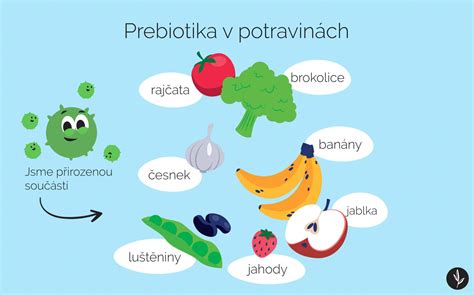 Infografika vysvetľujúca obsah balíčka Clean 9