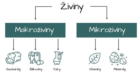 Grafické znázornenie zloženia nutrične vyvážených náhrad stravy (makroživiny, mikroživiny).